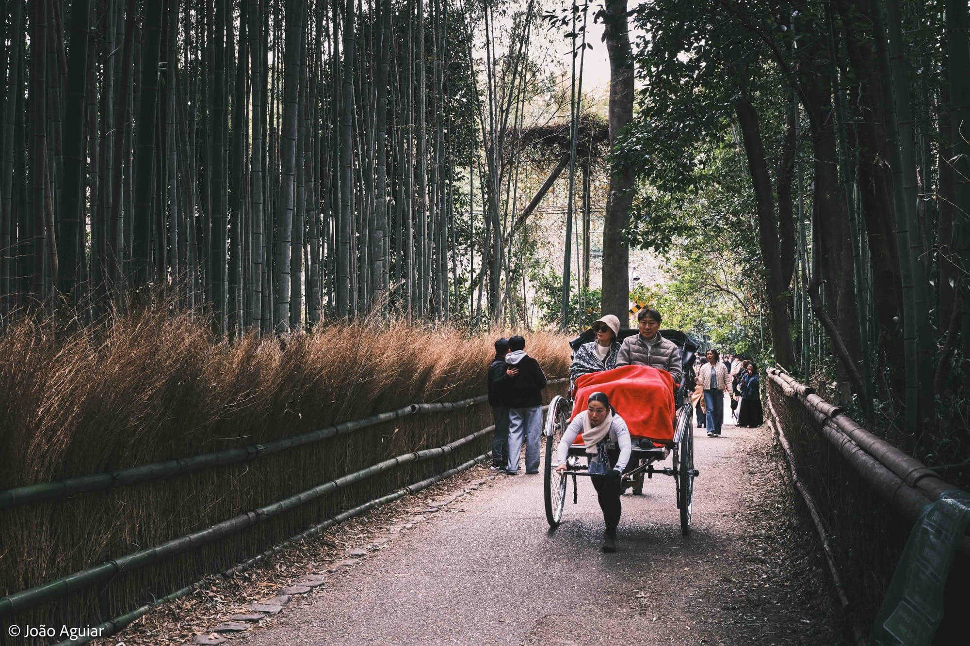 No centro, um casal está sentado em uma estrutura que lembra uma pequena carruagem de duas rodas, carregada por uma mulher com o corpo inclinado para frente. Ao redor, árvores de bambu.